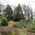 hecke1.jpg