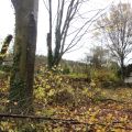 hecke4.jpg